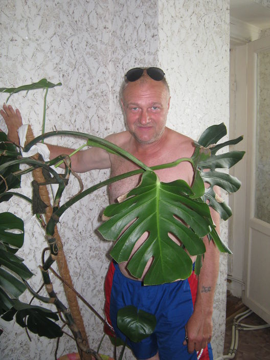 привет всем