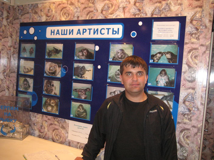 В дельфинарии