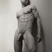 MALE M