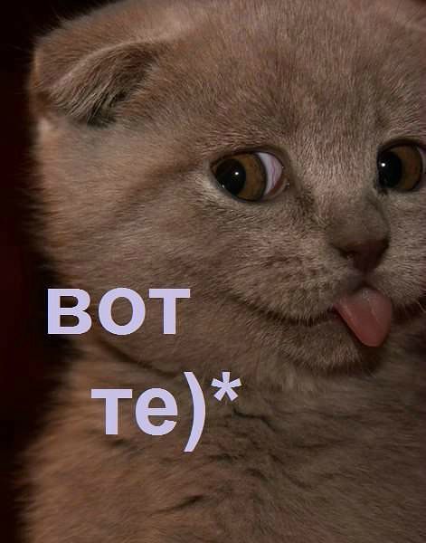 просто