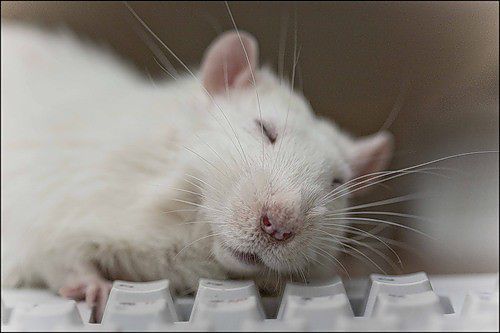 Я на работе)