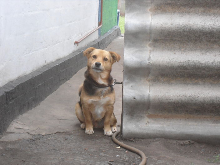 ПРИВЕТ ВСЕМ !!!