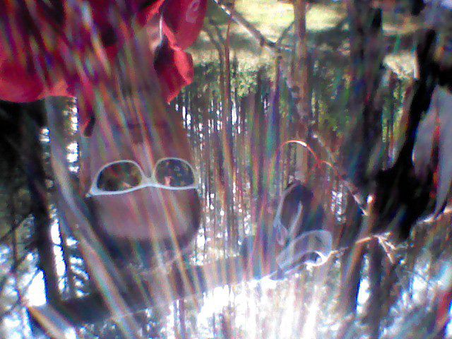 жизнь вопреки ВСЕМУ!!!