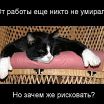 какой есть