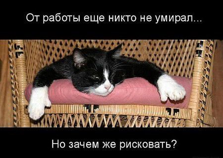 какой есть