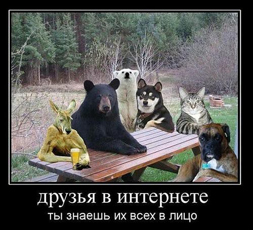 Друэья-товарищи