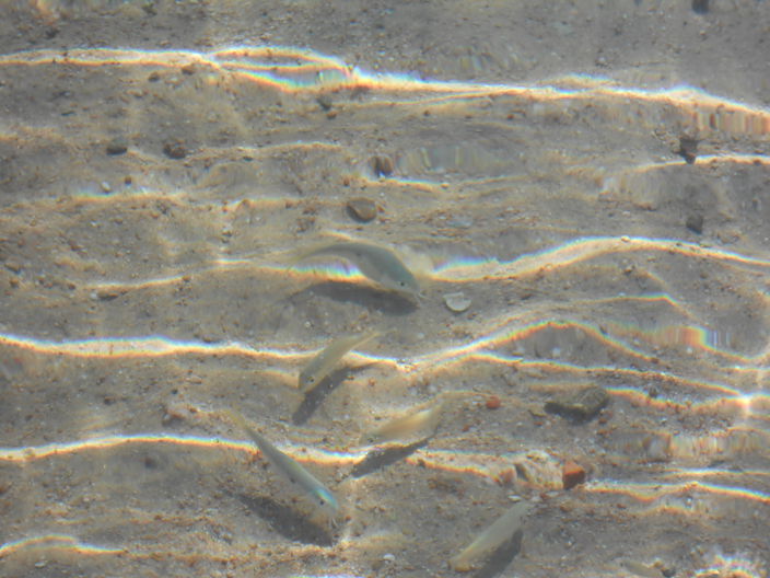 Море