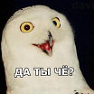 да ты чё?))