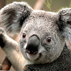 HI ALLLLLLLLLLLLLLLLL
