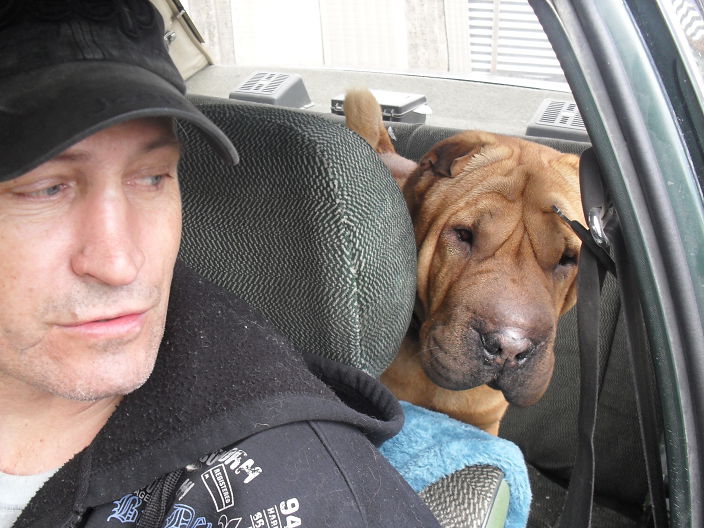сабака друг человека