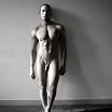 MALE M