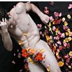 MALE M