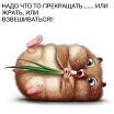 ia na diete)))