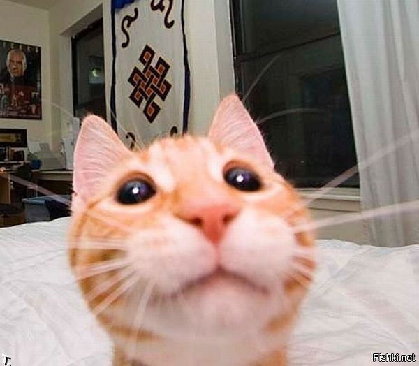 Кого бы вые......