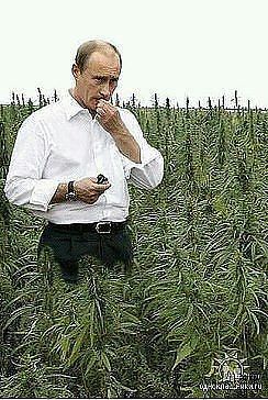 Эт друг мой