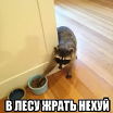 это я