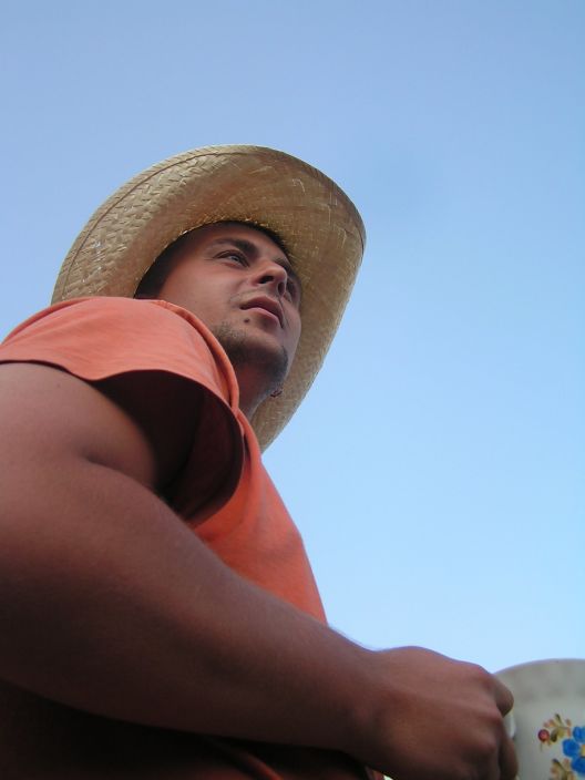 ..........................