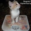 мои фото