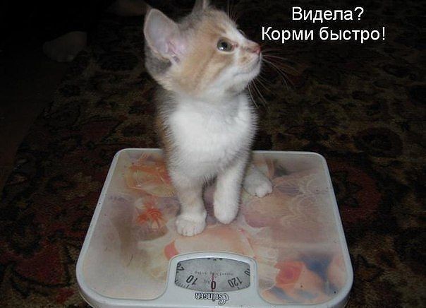 мои фото