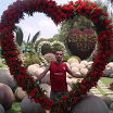 NMBH