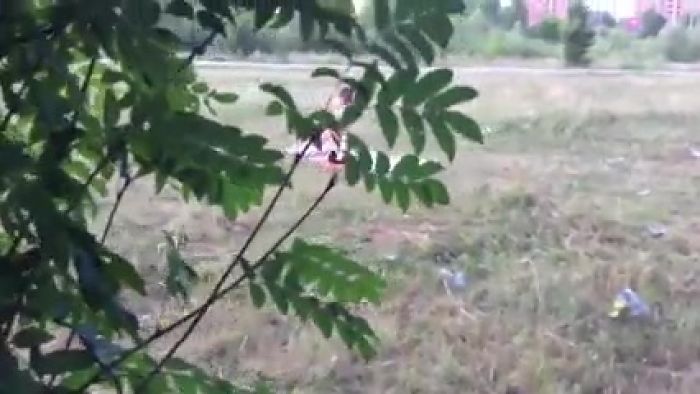 член в кулаке девушка под прицелом