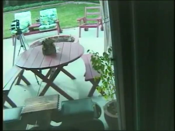 Midday Carpet muncher Lickfest With Sex Kitten Kat Power