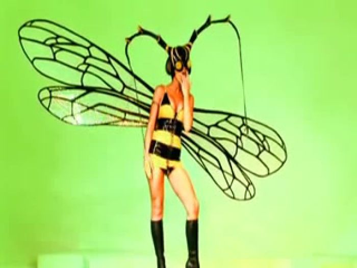 Орал в костюмах насекомых